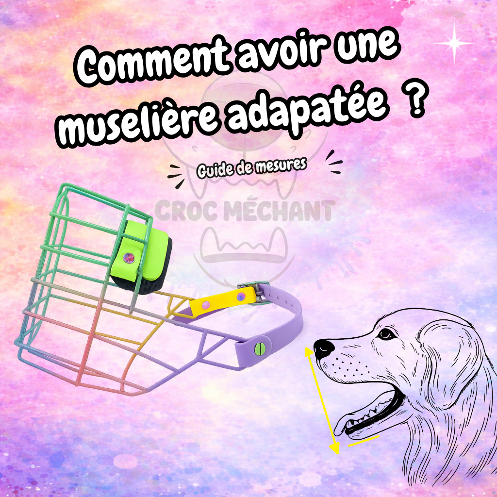 GUIDE DE MESURE POUR LES MUSELIERES