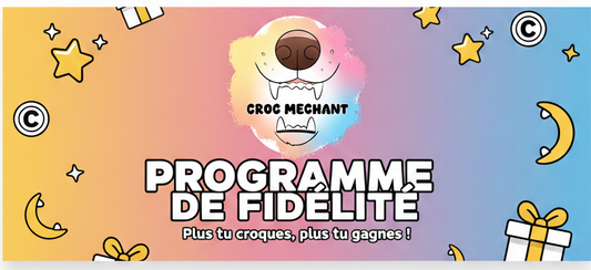 Tout Savoir Sur les Programmes de Fidélité & Avantages