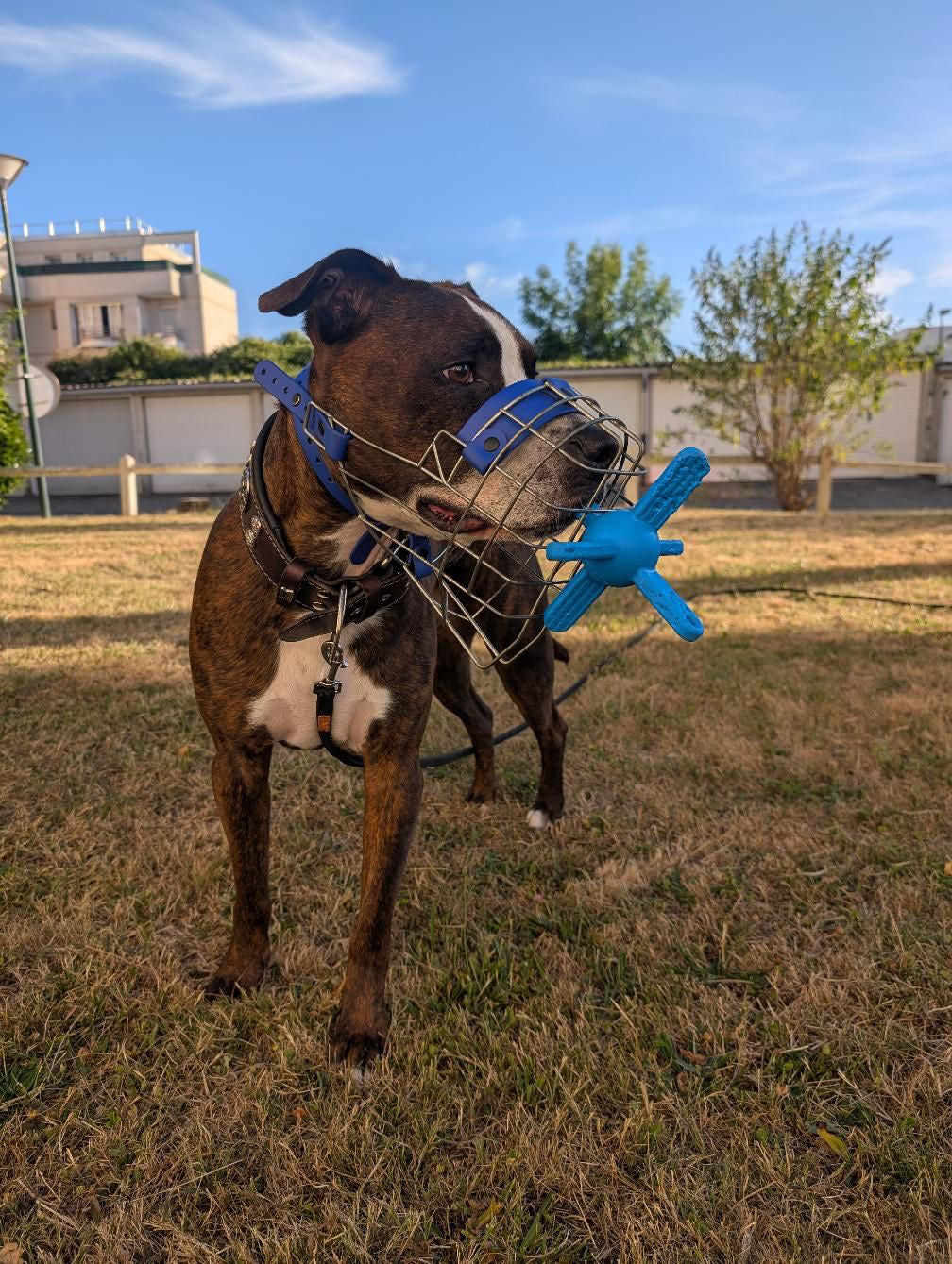 Balle Muzzle Mates® – Jouet d’Enrichissement pour Chiens Muselés
