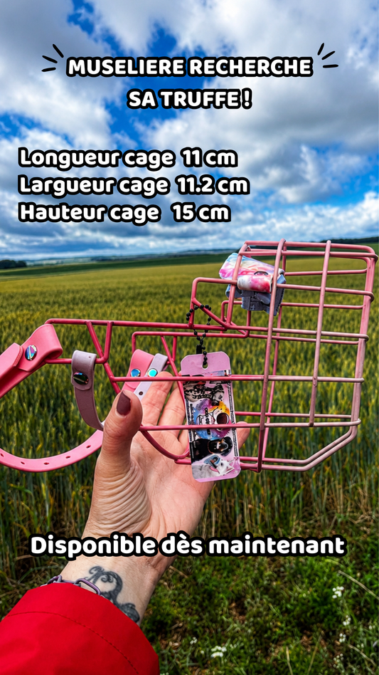 Muselière « Recherche sa Truffe » – 4 Roses