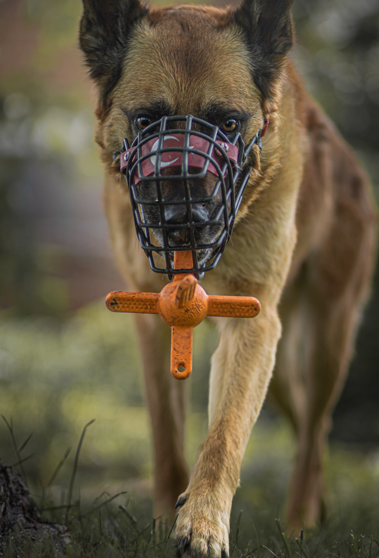 Balle Muzzle Mates® – Jouet d’Enrichissement pour Chiens Muselés