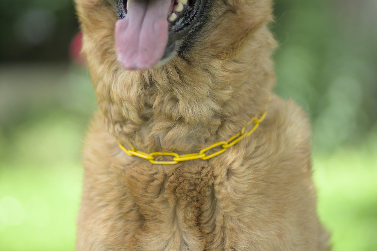 Collier chaine non étrangleur pour chien puissant -  Chaîne Croc Méchante