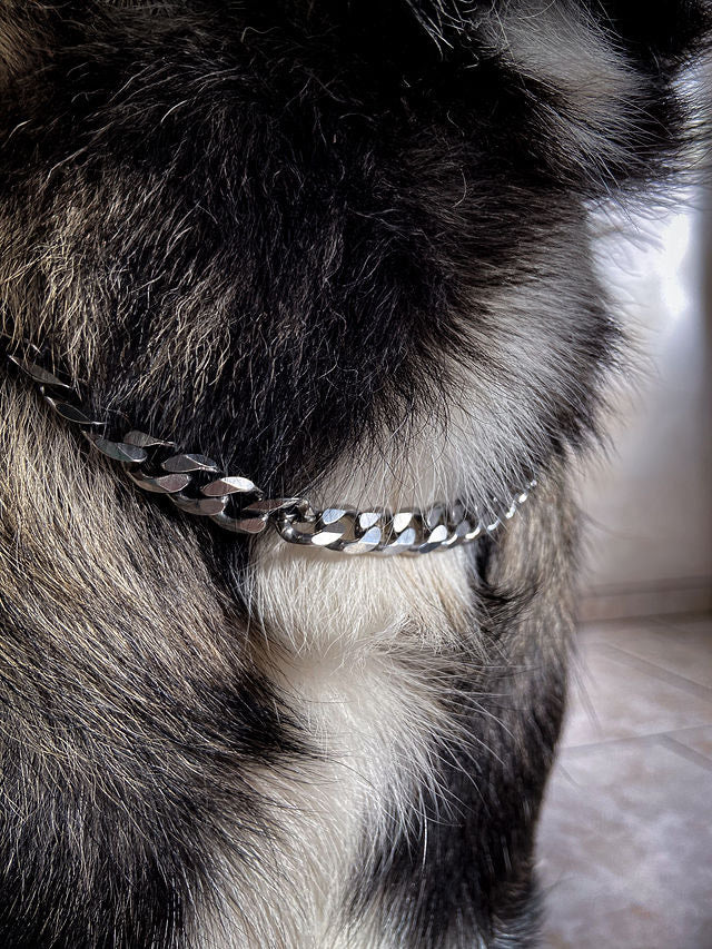 Collier Chaîne non étrangleur pour chien élégante - Collier CROCHIC