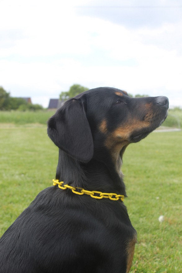 Collier chaine non étrangleur pour chien puissant -  Chaîne Croc Méchante